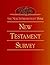 The New Interpreter's Bible New Testament Survey