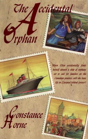 The Accidental Orphan (Paperback)