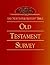 The New Interpreter's® Bible Old Testament Survey
