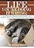Life-You're Doing It Wrong: Why People Don't Get Better Results in Self- Improvement ... And what to do about it.