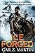 Ice Forged (Ascendant Kingdoms, #1) (Blaine McFadden, #5)