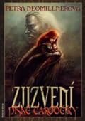 Zjizvení