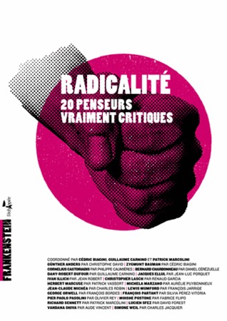 Radicalité: 20 penseurs vraiment critiques (Paperback)