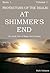 At Shimmer's End by Ruth Solomon