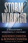 Storm Warrior: A ...