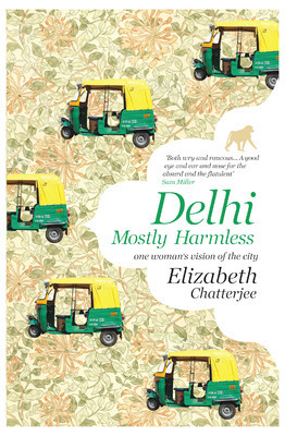 Delhi Mostly Harmless : One Womans Vision of the City