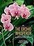 The Orchid Whisperer: Expert Secrets for Growing Beautiful Orchids