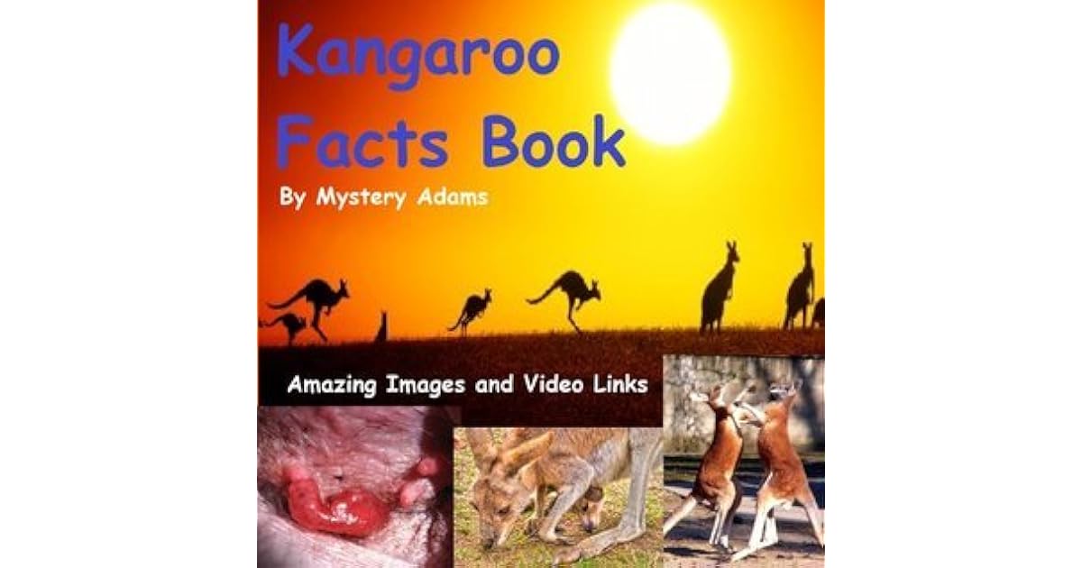 Kangaroos Facts Book for Kids Amazing Fun Facts About Kangaroos by
