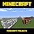 MINECRAFT PROJECTS - Part 1