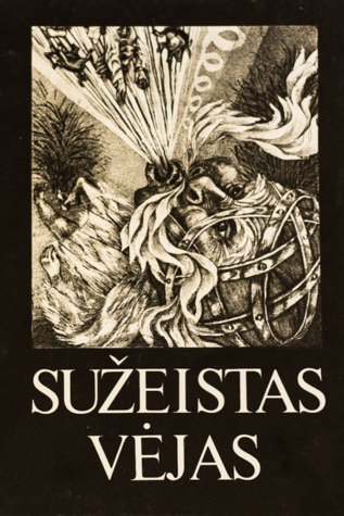 Sužeistas vėjas (Hardcover)