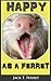 Happy as a Ferret - YOUR Guide To Happiness