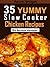 35 Yummy Slow Cooker Chicken Recipes by Rachel  Bridges