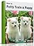 How To Potty Train A Puppy: Your Puppy Training Manual