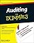 Auditing For Dummies