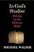 In God's Shadow by Michael Walzer