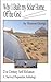 Why I Built my Solar Home Off the Grid (21st Century Self Reliance: A Survival Preparation Book 5)