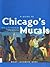A Guide to Chicago's Murals