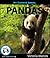 My Favorite Animal: Pandas