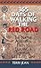 365 Days Of Walking The Red Road by Terri Jean