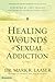 Healing the Wounds of Sexual Addiction: Discover the Practical and Spiritual Steps to Lasting Recovery