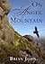On Angel Mountain (The Angel Mountain Saga Book 1)