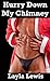 Hurry Down My Chimney (a nearly free fun holiday gay erotica)