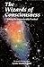 The Wizards of Consciousness by Lynda Madden Dahl