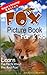 Fox: Picture Book For Kids