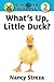 What's Up Little Duck by Nancy Streza