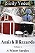 Winter Surplus (Amish Blizzards #1)