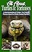 Animal Books: All About Turtles and Tortoises, A Kids Introduction - Fun Facts & Pictures About the Coolest Reptiles: Children's Picture Book,Perfect for Bedtime, Young Readers,For 6-12 Year Olds