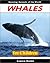 Whales for Children