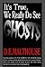 It's True, We Really Do See Ghosts (Very True Ghost Stories Book 2)