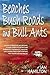Beaches Bush Roads and Bull Ants by Ian       Hamilton