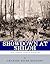 Showdown at Shiloh: The Lives and Careers of Ulysses S. Grant, William Tecumseh Sherman, Albert Sidney Johnston and P.G.T. Beauregard