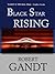 Black Star Rising by Robert Gandt
