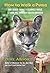 How to Walk a Puma: And Other Things I Learned While Stumbling through South America