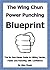 Wing Chun Power Punching Blueprint for Self Defence by Alex Chuen