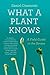 What a Plant Knows by Daniel Chamovitz