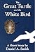 The Great Turtle and the White Bird