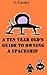 A Ten Year Old's Guide to Owning a Spaceship