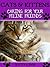Cats & Kittens (Caring For Your Feline Friends)