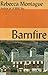 Barnfire by Rebecca Montague