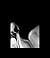 Ex Libris: Ralph Gibson Pho...