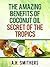 The amazing benefits of Coconut oil - secret of the tropics (Secret oils of the World Book 2)