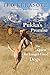 Pukka's Promise: The Quest ...