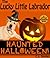 The Lucky Little Labrador: HAUNTED HALLOWEEN! A Bedtime Story with Puppy Pictures for Ages 7-10 (Little Readers #5)