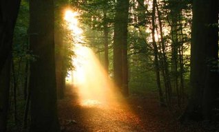 The Inner Sanctuary of Prayer or If Ye Shall Ask