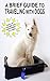 A Brief Guide To Traveling With Dogs (The Best Dog Book Series 2)