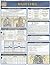 Nursing and Physical Assess...